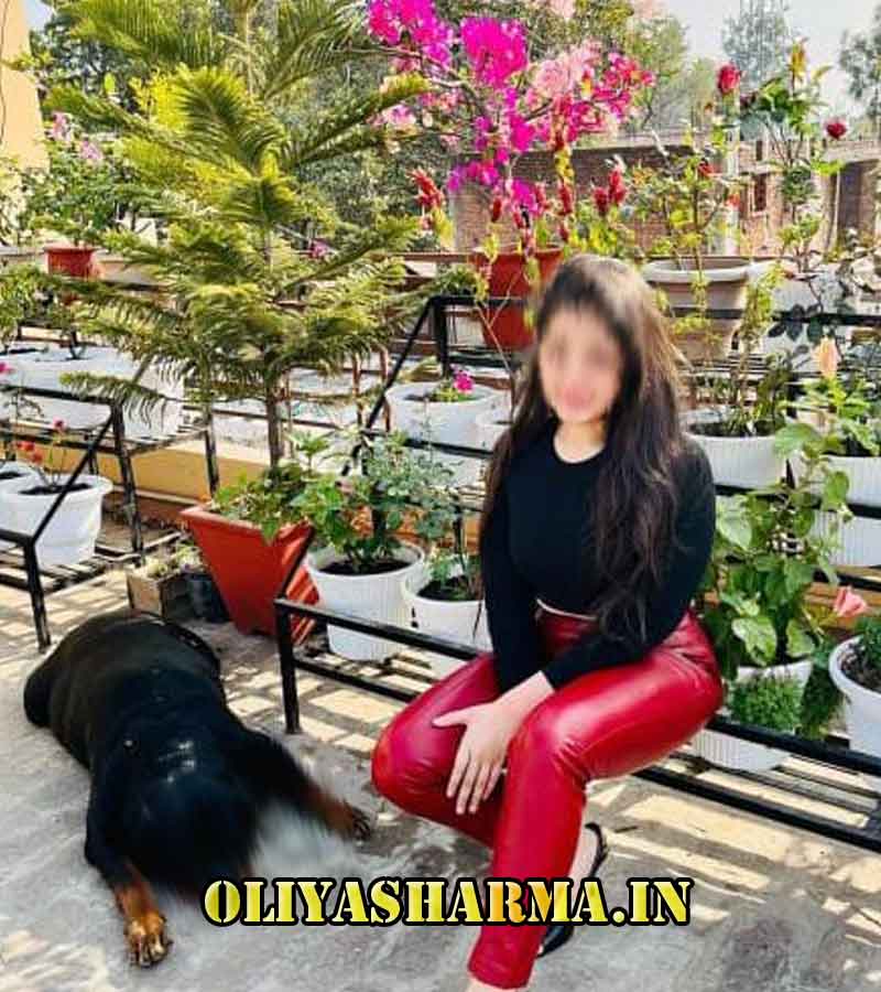 Dilshad Garden escorts - 25 Call girls service